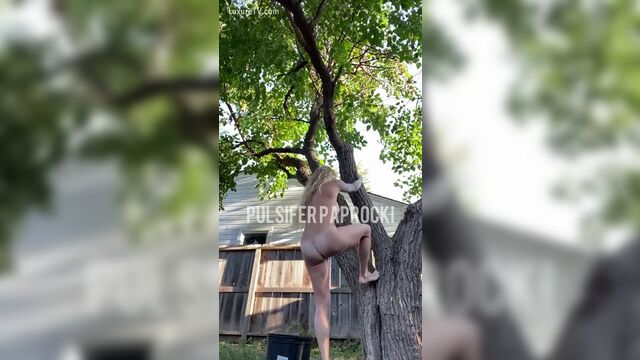 shit out of a tree