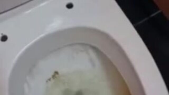 Eating my shit from public toilet